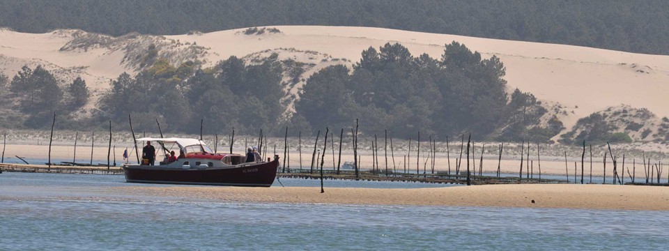 Le banc d'Arguin