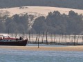 Le banc d'Arguin